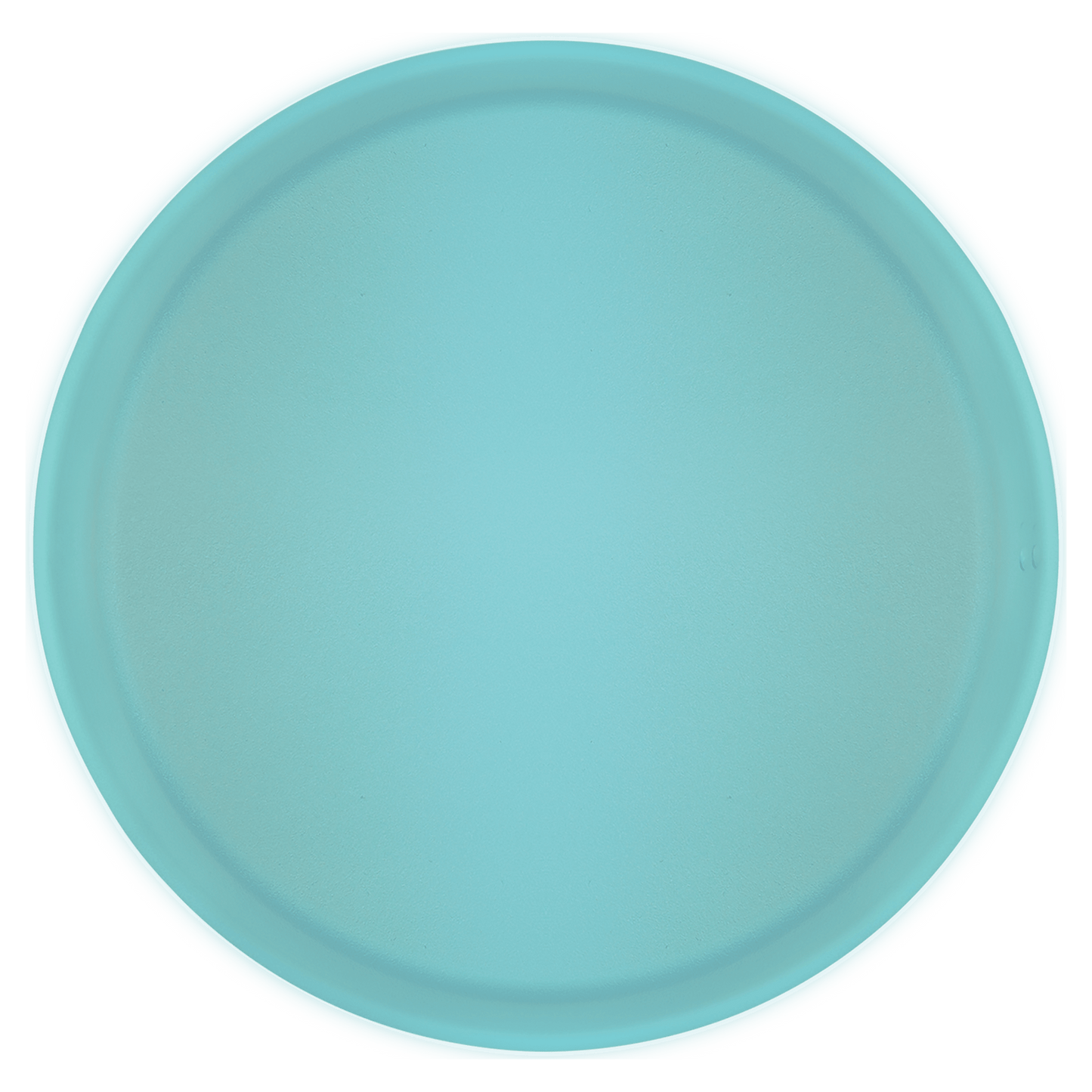 Teal Replacement Lid for PPN104