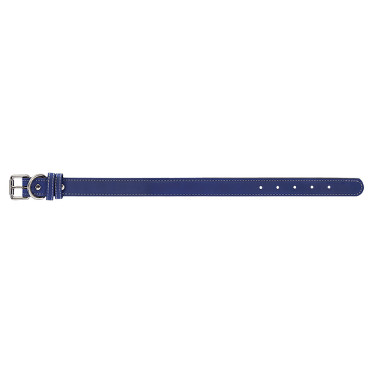 Burnmark Dog Collar | Personalized Laser Engraved | Cobalt | Everett June