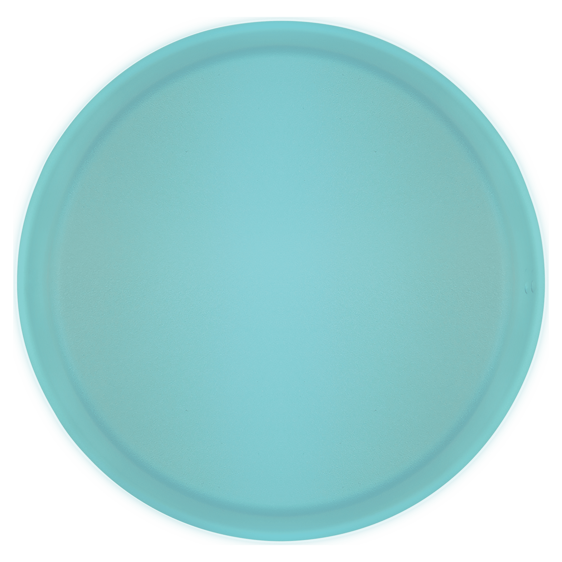 Teal Replacement Lid for PPN104